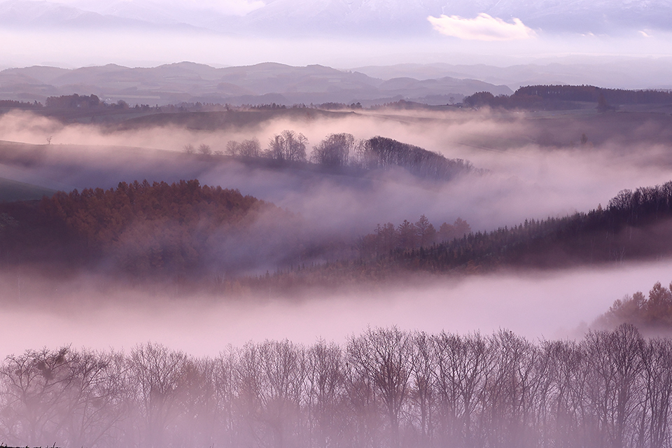 美瑛町（イメージ）/「雲海の朝」北海道のPN.丘斗大地さんの作品