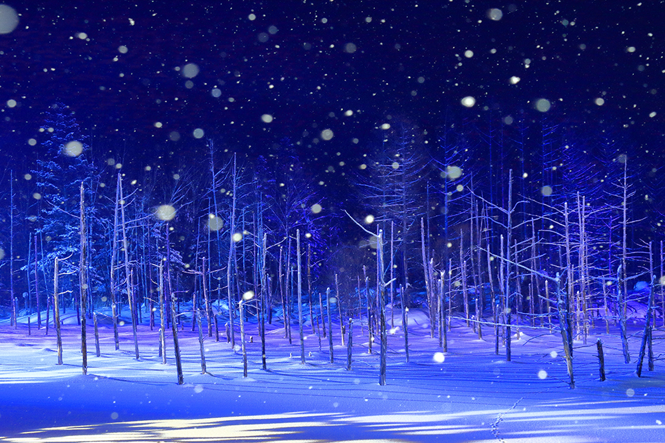 青い池（イメージ）/「青い池スノーファンタジー」北海道のPN.丘斗大地さんの作品