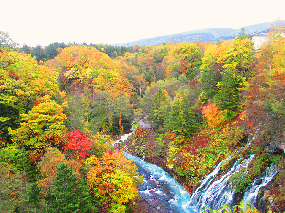 白ひげの滝（イメージ）/「紅葉と白髭の滝」千葉県のPN.下手の横好きさんの作品