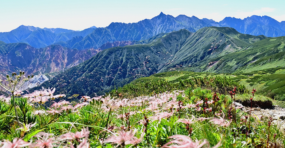 双六岳（イメージ）
