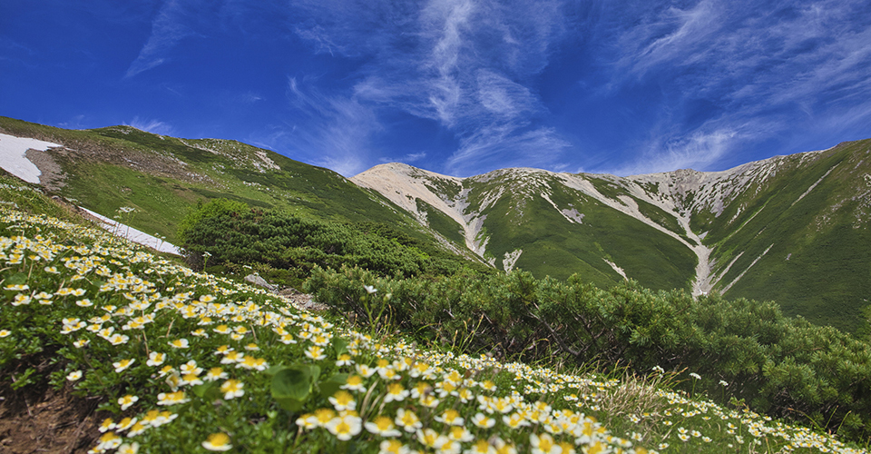 薬師岳（イメージ）
