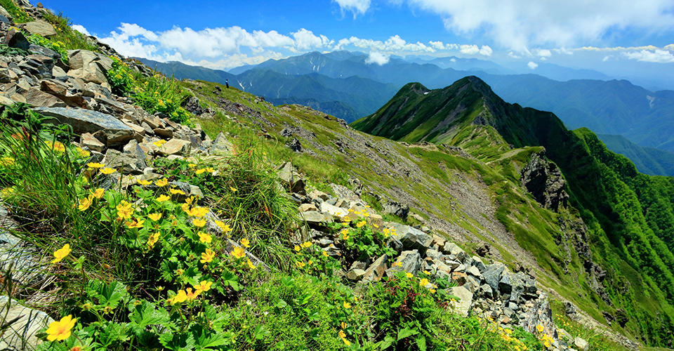 仙丈ヶ岳（イメージ）