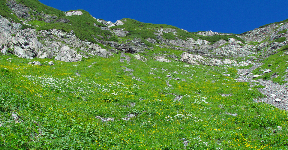 赤石岳（イメージ）