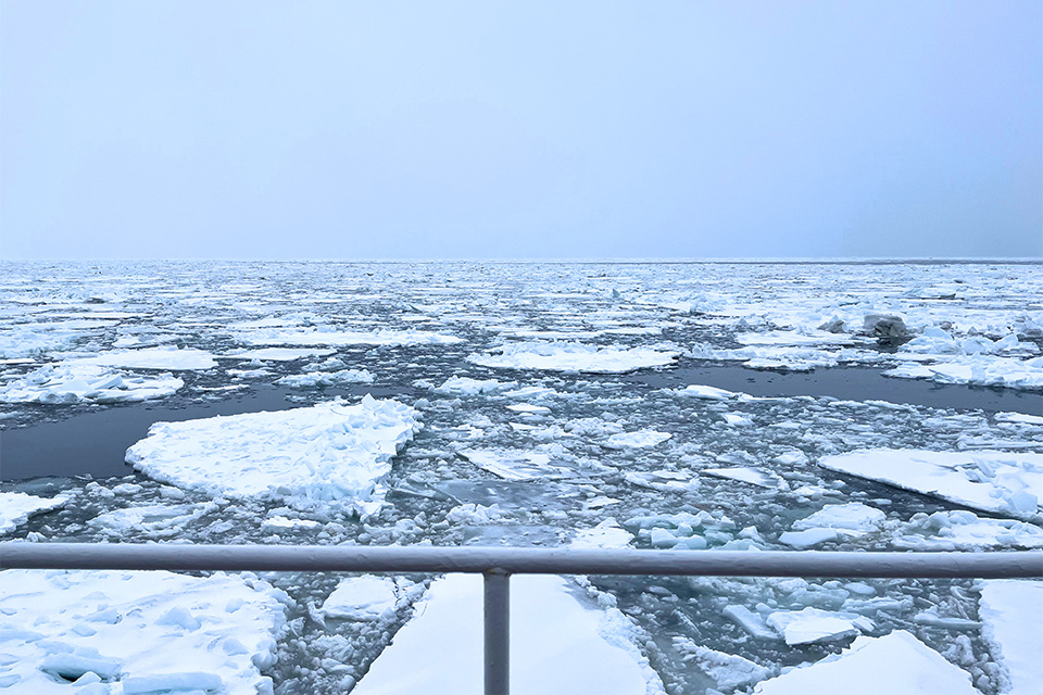 「網走流氷観光砕氷船おーろら」から見る流氷（イメージ）