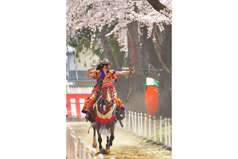 十和田市中央公園（イメージ）/「必中！」千葉県の水野 英樹さんの作品