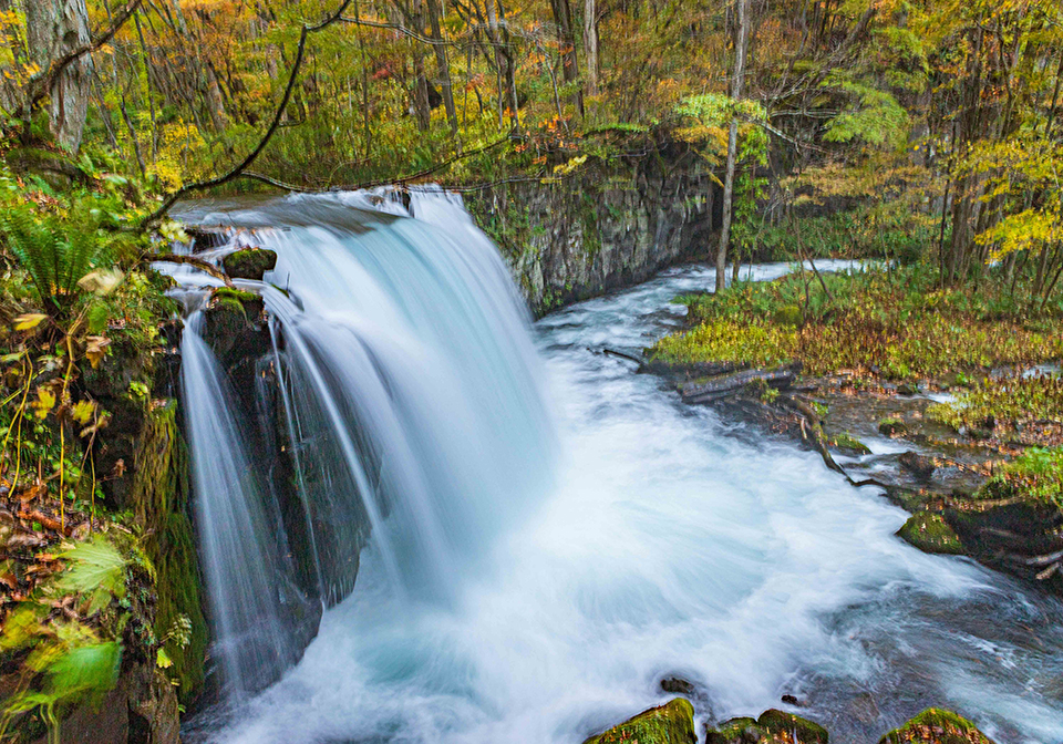 奥入瀬渓流（イメージ）/「紅葉の奥入瀬渓流銚子大滝」兵庫県の泰 勉さんの作品