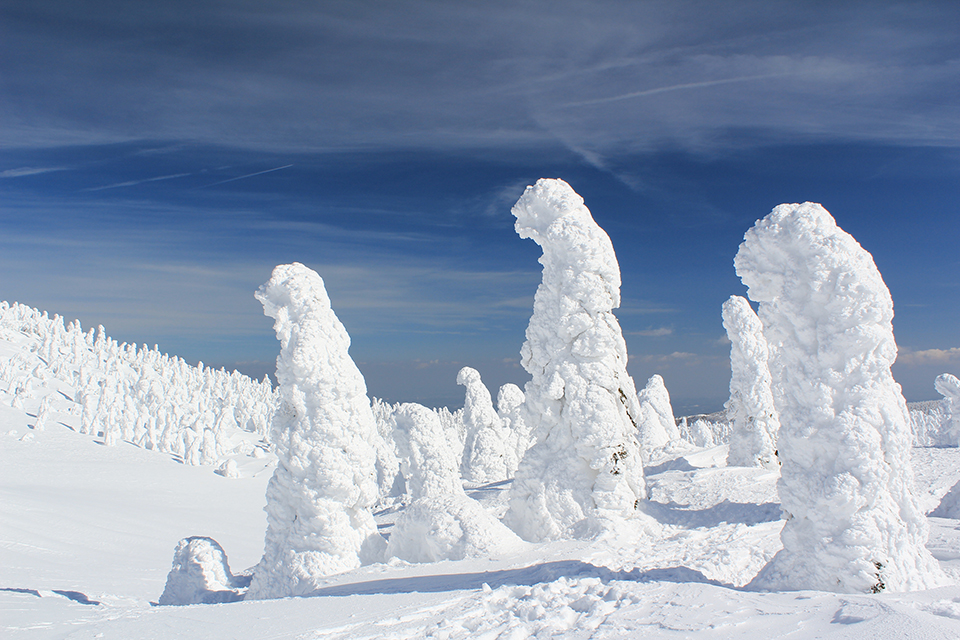 冬の蔵王（イメージ）/「スノーモンスター登場！」神奈川県の矢野 一馬さんの作品