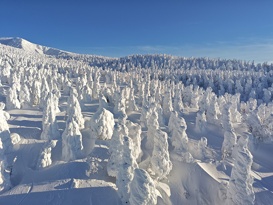 冬の蔵王（イメージ）/「樹氷」京都府のPN.よしりんさんの作品