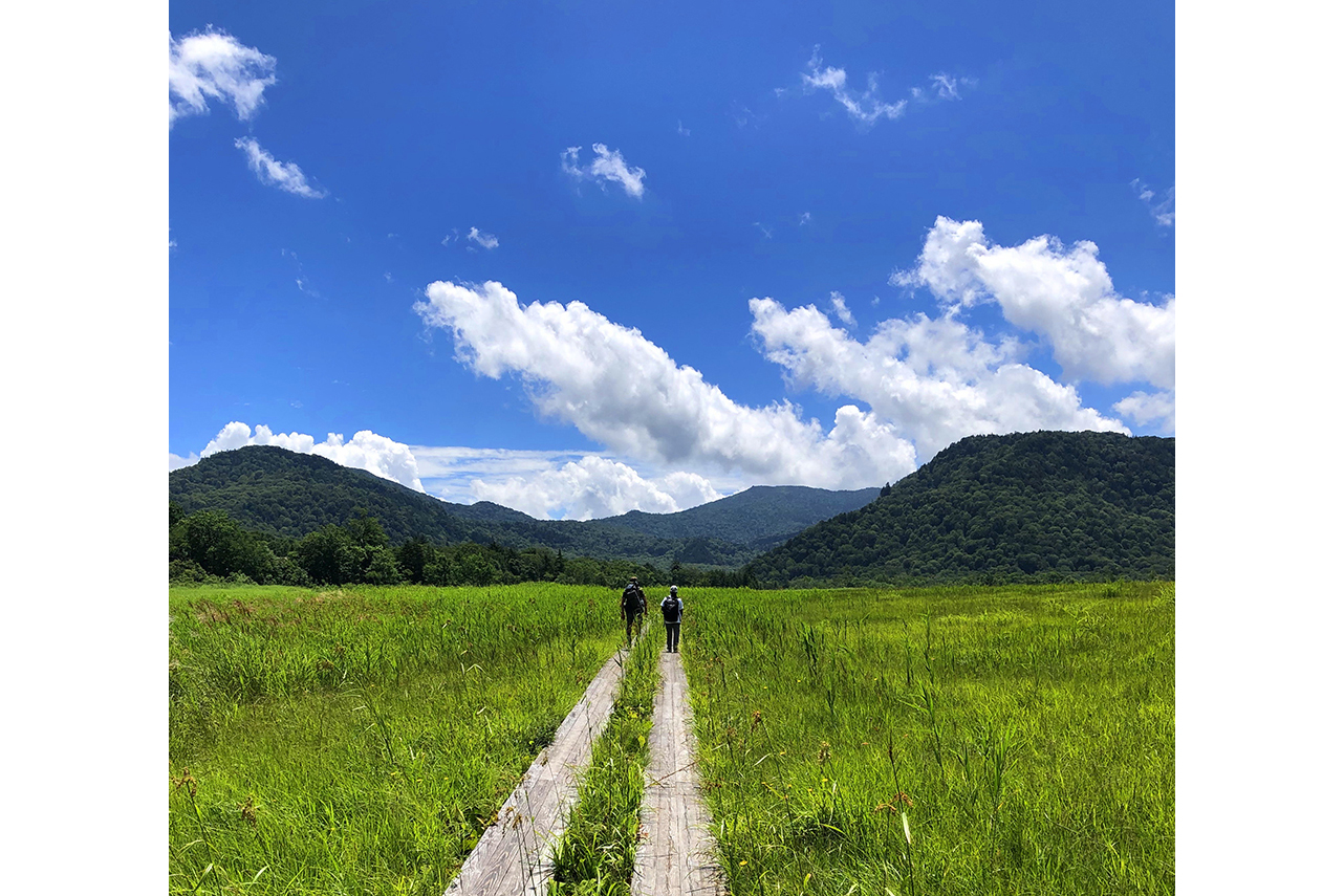 尾瀬（イメージ）/「尾瀬ヶ原を歩く父と娘」千葉県の田巻 真希子さんの作品