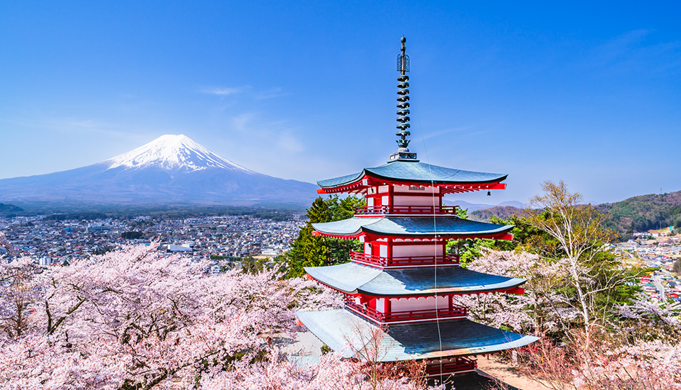 新倉山浅間公園（イメージ）