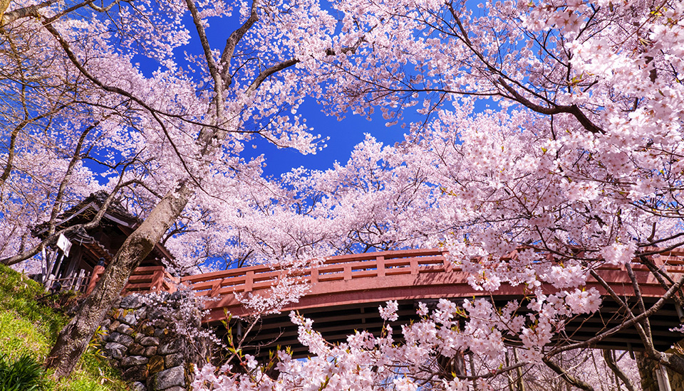 高遠城址公園（イメージ）