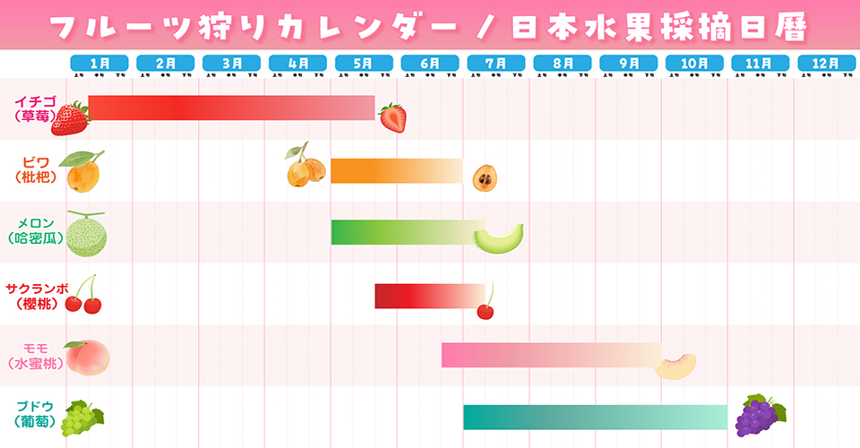 フルーツ狩りカレンダー（イメージ）