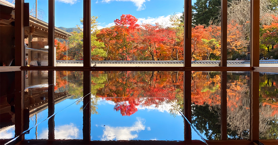 「宝徳寺の床紅葉」（イメージ）