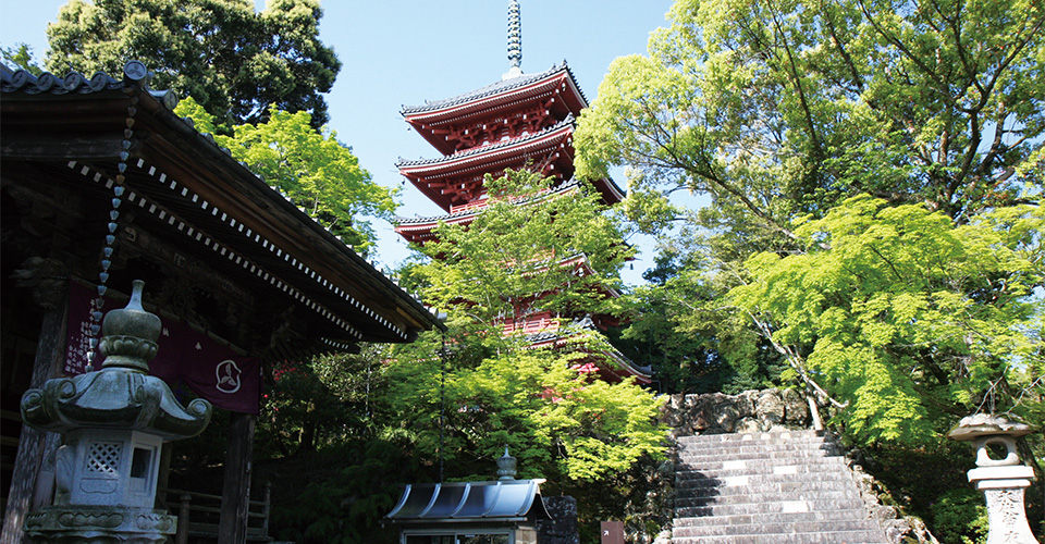 第31番札所「竹林寺」（イメージ）