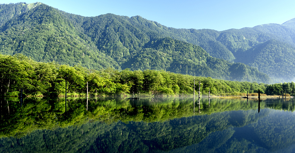 大正池（イメージ）