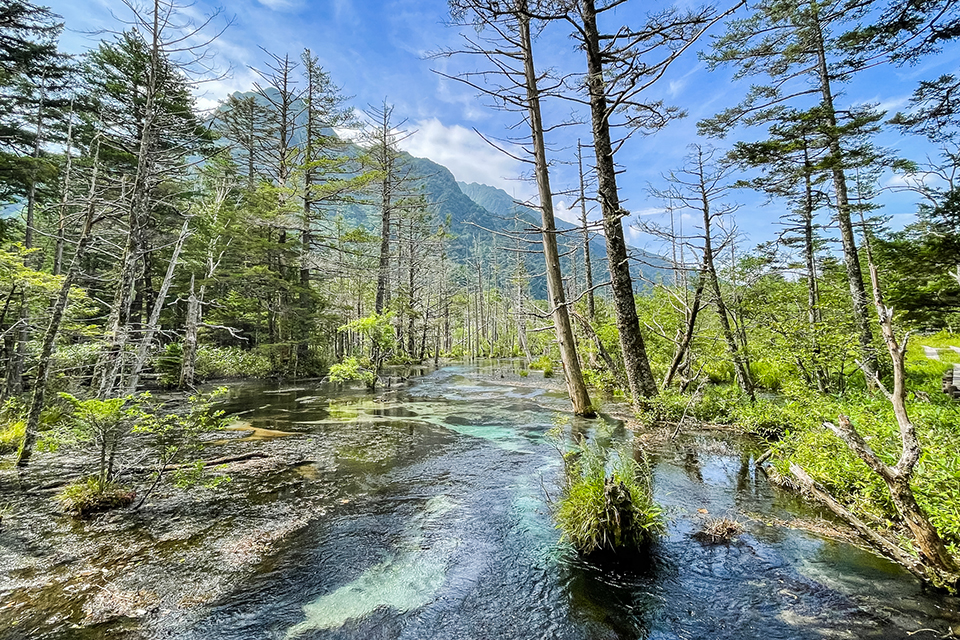 六百岳を望む岳沢湿原(イメージ)
