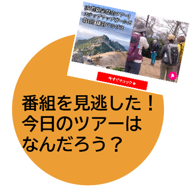 番組を見逃した！今日のツアーはなんだろう？