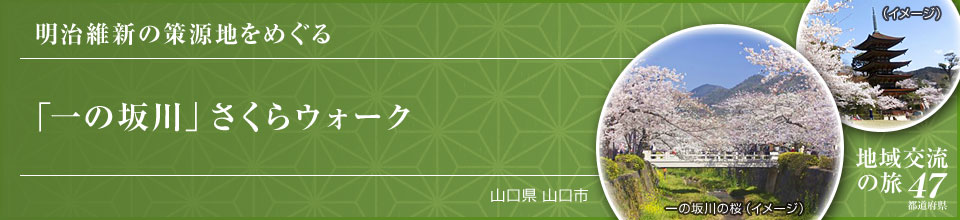 明治維新の策源地をめぐる「一の坂川」さくらウォーク