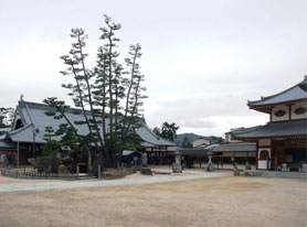 「大願寺」 延暦21年頃創建と伝えられる古刹 （写真提供：広島県）