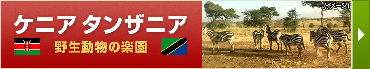 ケニア特集