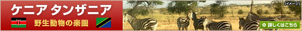 ケニア特集