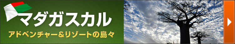 マダガスカル特集