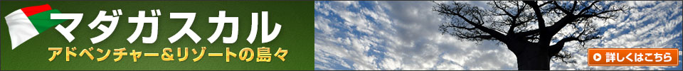 マダガスカル特集