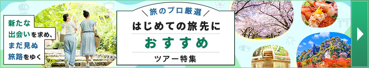 はじめての旅先におすすめツアー特集