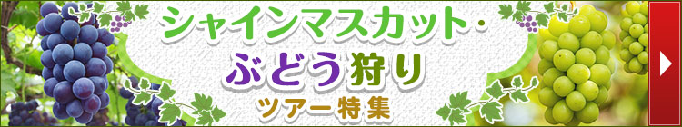 シャインマスカット・ぶどう狩りツアー特集