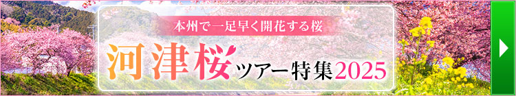 本州で一足早く開花する桜　河津桜ツアー特集2025