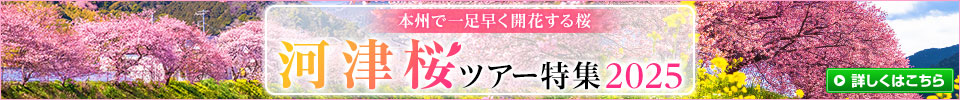 本州で一足早く開花する桜　河津桜ツアー特集2025