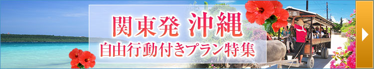 関東発・沖縄自由行動付きプラン特集(イメージ)