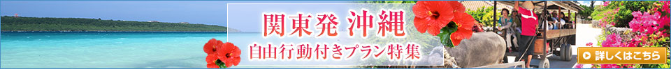 関東発・沖縄自由行動付きプラン特集(イメージ)