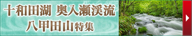 十和田湖・奥入瀬渓流・八甲田山ツアー特集（イメージ）