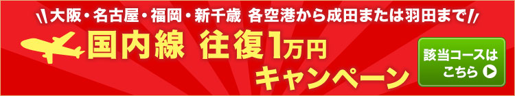 国内線 往復1万円キャンペーン
