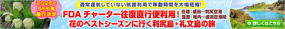 FDAチャーター往復直行便利用