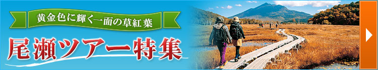 尾瀬旅行