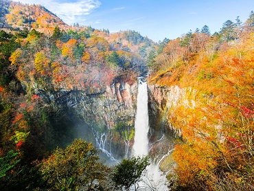 関東エリアの紅葉スポット 旅行・ツアー