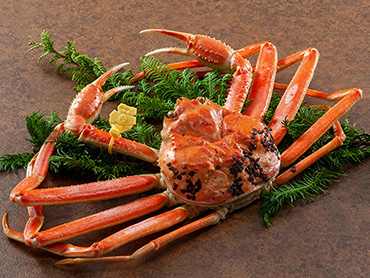 カニカニツアー特集 旅行・ツアー