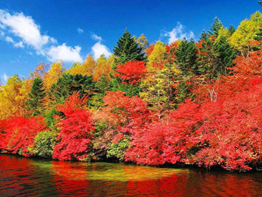 紅葉ツアー特集｜四季の華 旅行・ツアー