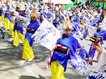 高知よさこい祭りツアー・旅行2025 旅行・ツアー