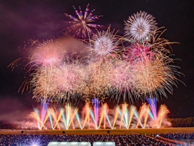 にし阿波の花火ツアー特集 旅行・ツアー