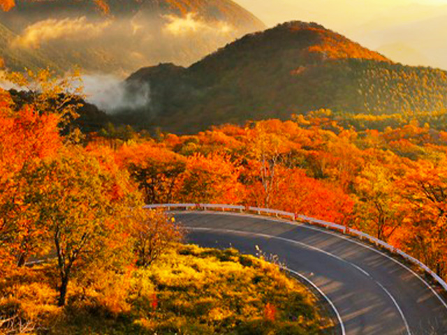 訪日外国人向け紅葉ツアー 旅行・ツアー