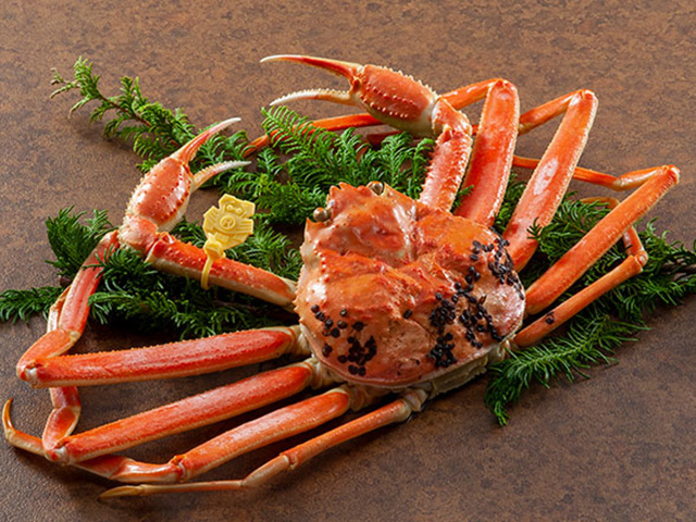 カニカニツアー特集 旅行・ツアー