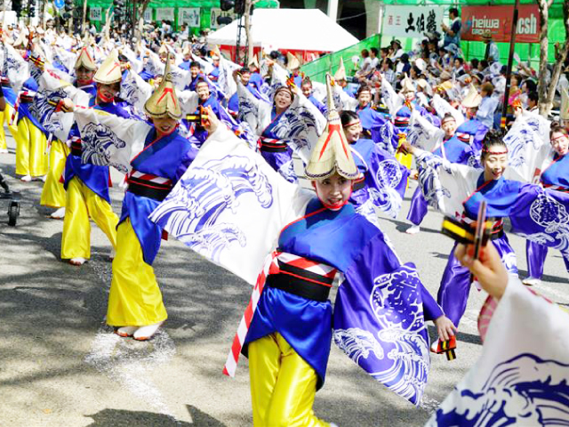 高知よさこい祭りツアー・旅行2025 旅行・ツアー