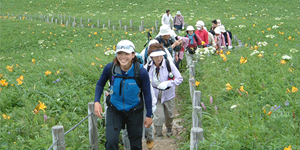 利尻島・礼文島（イメージ）