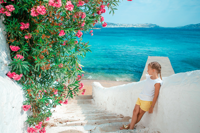 ミコノス島に咲く花（イメージ）