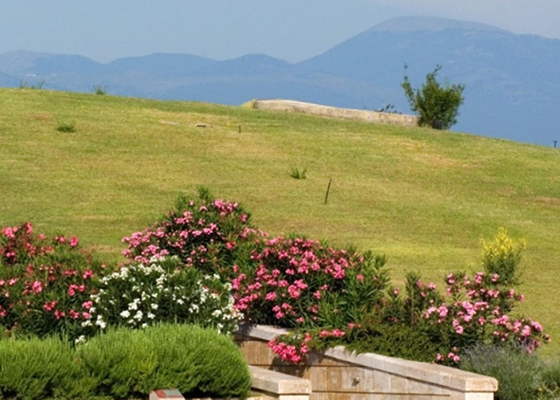 ヴェルギナ遺跡（イメージ）©ギリシャ国立観光協会