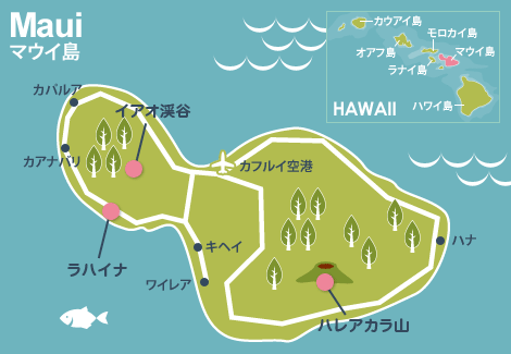 マウイ島 ハワイ旅行 ツアー 観光 クラブツーリズム