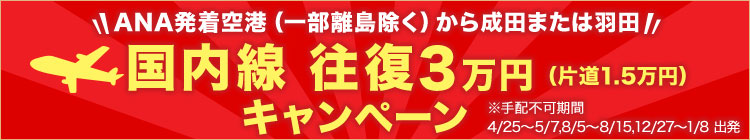 国内線 往復3万円キャンペーン